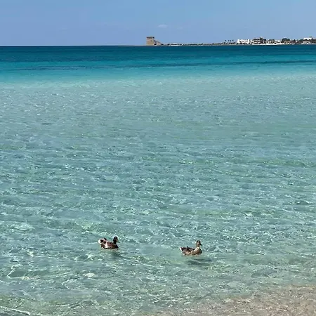 Appartement Salento